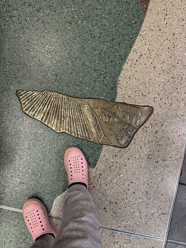 卡加利✈️機場的裝置藝術