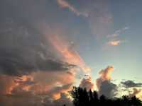 Beautiful morning in South Florida 