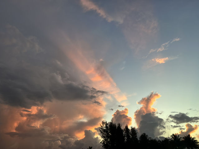 Beautiful morning in South Florida 