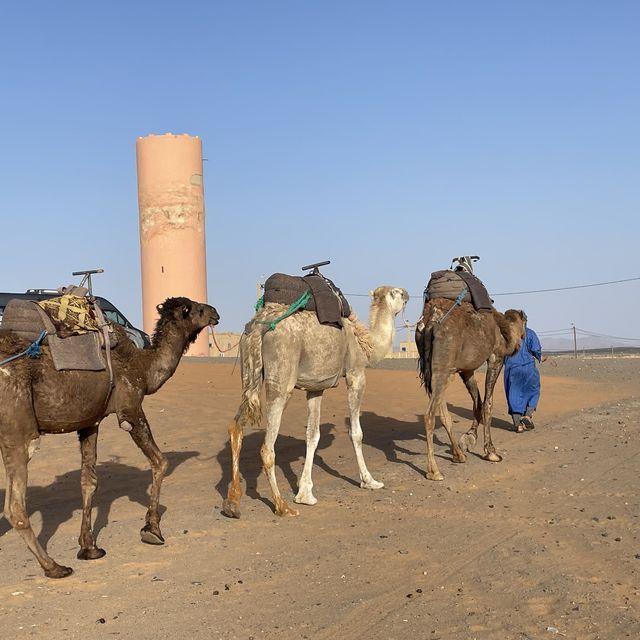 Sahara Desert Tour in Morocco