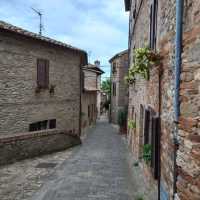 Beautiful Montone 