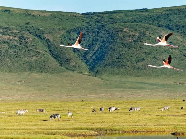 5 Day Safari - Ngorongoro National Park