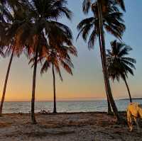 Playa Larga – when the name says it all