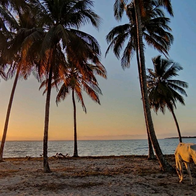 Playa Larga – when the name says it all