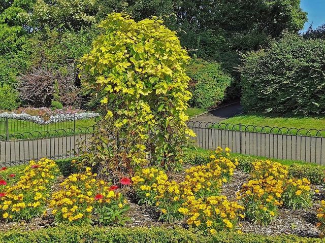 Seaton Park Aberdeen 🌼