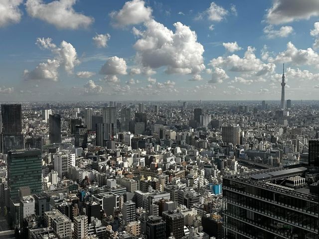Four Seasons Hotel Tokyo at Otemachi 🇯🇵