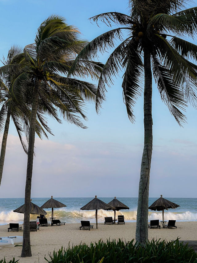 Magical Vacation In Hainan Island 🌴🐬🩵