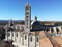 Siena's Tuscan Tapestry 🍇