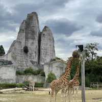 Animal Kingdom in Paris, anyone?