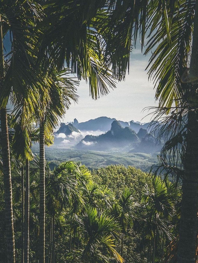 태국: 다양하고 매력적인 관광지 🌴