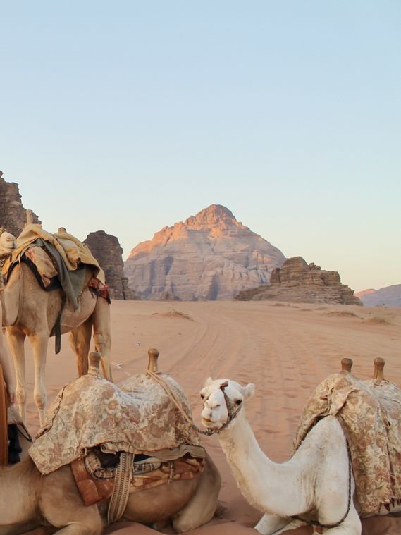 Discovering Hidden Wonders on a Jeep Tour 🏜️🚙