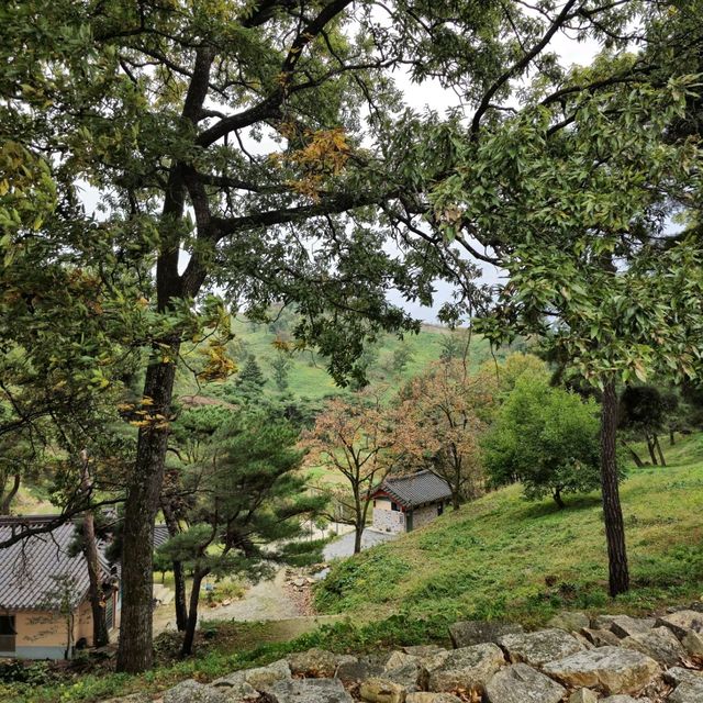국내여행 도시 중 하나인 보은에 있는 삼년산성은