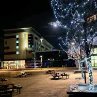 during Christmas, and the city was beautifully festive
