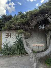 Perfect Ibiza Itinerary 