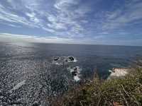 Funchal’s best view 