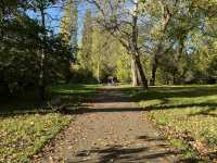 Hampstead Heath: London’s Wild and Wonderful Escape