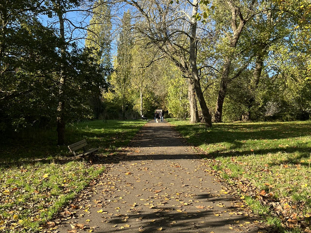 Hampstead Heath: London’s Wild and Wonderful Escape