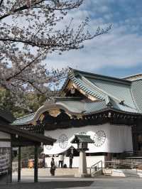 A famous cherry blossom spot, a shooting spot in the Sky Tree