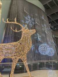 Dubai Mall - the Biggest One in the World 