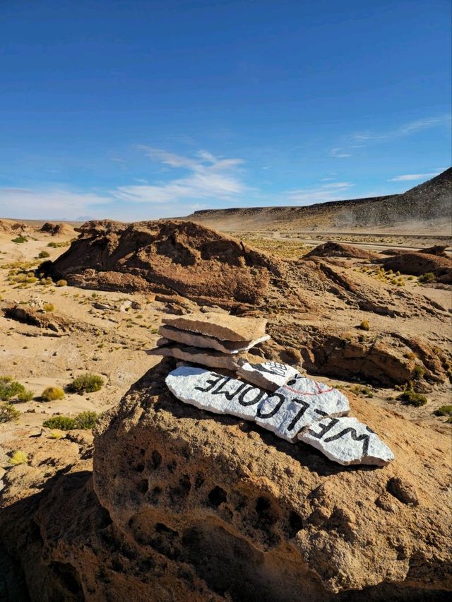 해외여행 볼리비아 Mirador Volcán Ollagüe 에서 먹은 라마 햄버거 