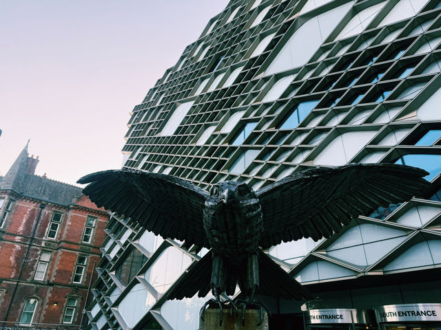 🚆 Manchester to Sheffield: A Northern City Hop Full of Surprises 🌆🌿