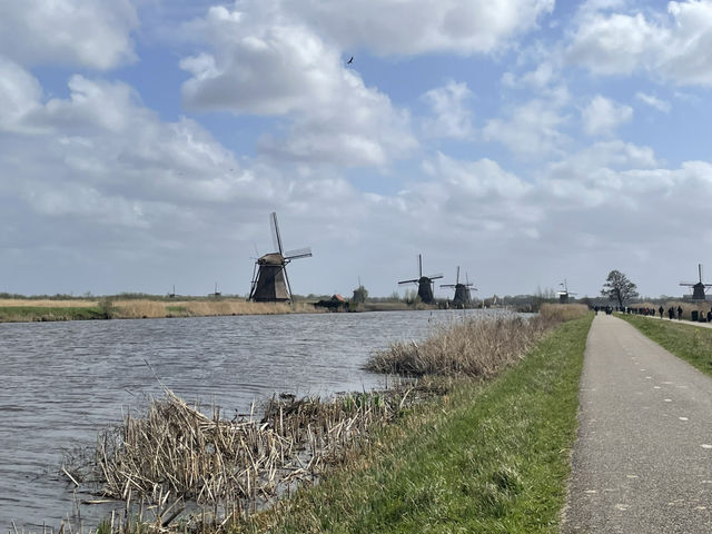 Windmills and Masterpieces: A Dutch Day from Kinderdijk to The Hague