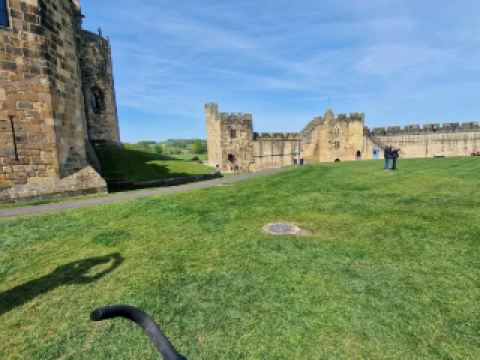 아닉 성과 정원