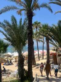 🌴☀️ TUI BLUE Palm Beach – Pure relaxation in paradise 🇹🇳✨