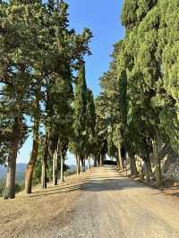 My favorite hidden gem in Tuscany: a town called Chiusdino