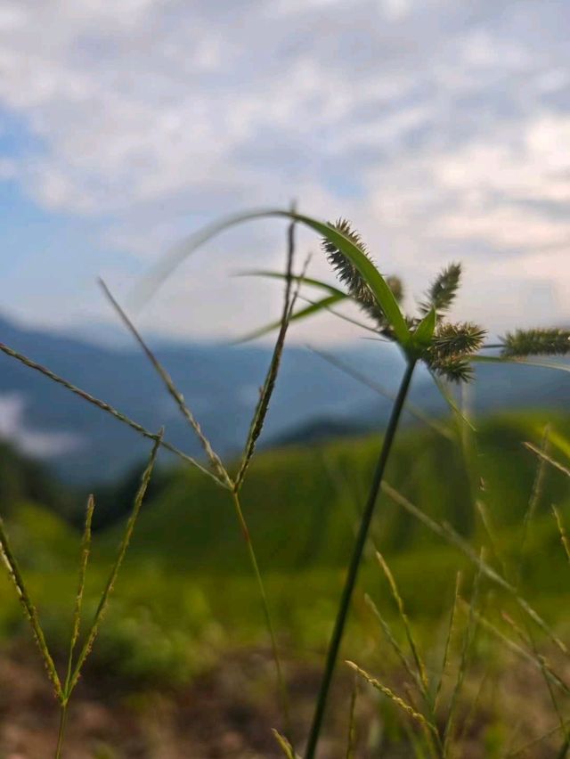 🌾 Longji Rice Terraces: A Living Masterpiece in the Mountains 🌄