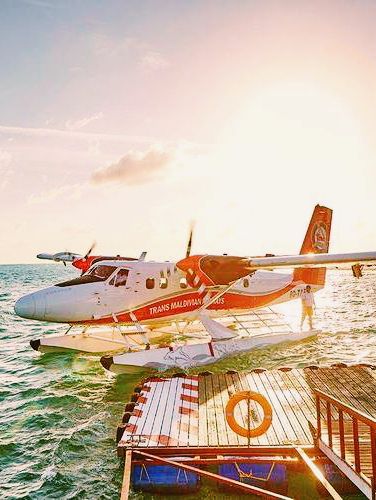 Why Bother Living Anywhere Else When You've Found Paradise? ✈️🌴🍹