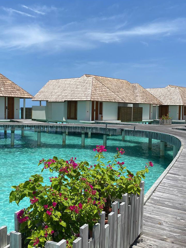 Experience Paradise at Furaveri Island Resort & Spa 
