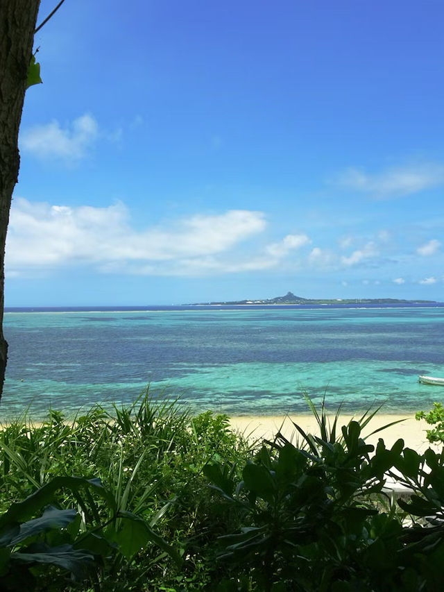 Overwater Bungalow in Bora Bora 🌺