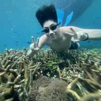 ๐ฒ๐พ Malaysia ๐๏ธ Redang Island Magic Escape ๐