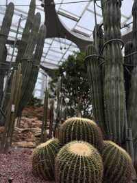 Shanghai Greenhouse Garden: Two Worlds in One Oasis