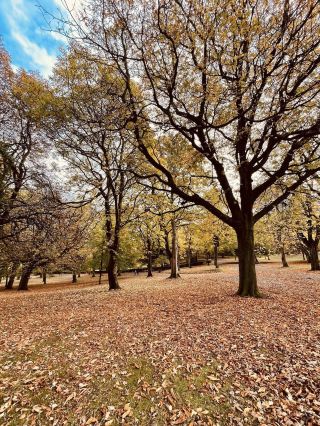 🍂 Lister Park – Autumn Colours at Their Best 🍁🌳 