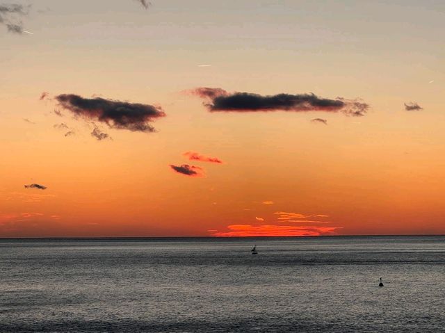 Miramare Castle: The Castle Built for Love (and Cursed by Love) Miramare Castle: The Castle Built for Love (and Cursed by Love)