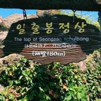 Jeju Island: Volcano Views, Fresh Air & Island Magic 🌊✨