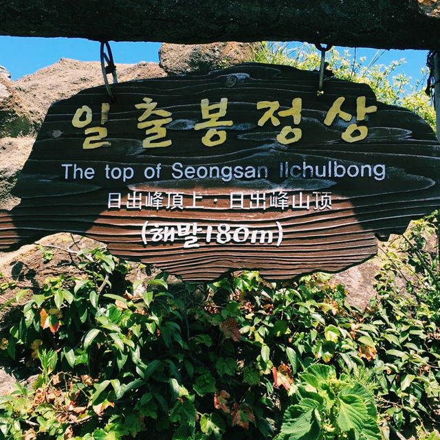 Jeju Island: Volcano Views, Fresh Air & Island Magic 🌊✨ Jeju Island: Volcano Views, Fresh Air & Island Magic 🌊✨