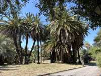 The Secret Garden of Trastevere: Where History Meets the Wilderness