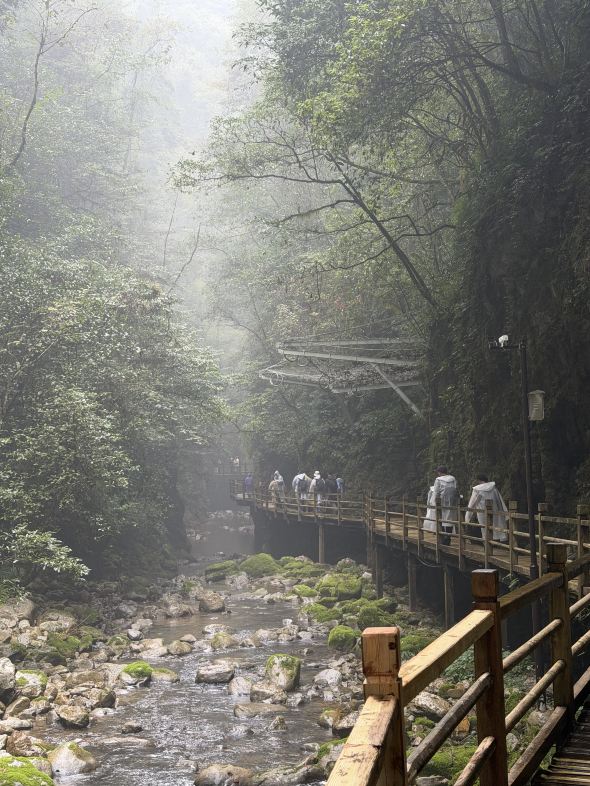 Exploring Zhangjiajie Grand Canyon: A Scenic Adventure Worth the Journey