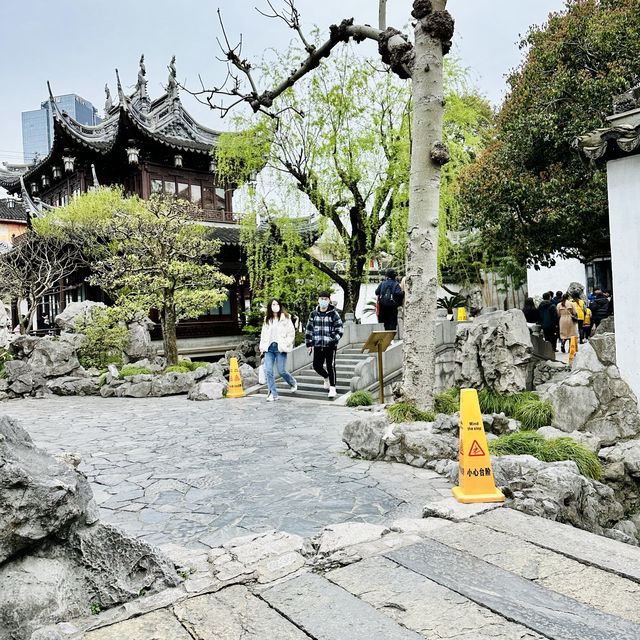 Timeless Beauty: Yu Garden in Shanghai