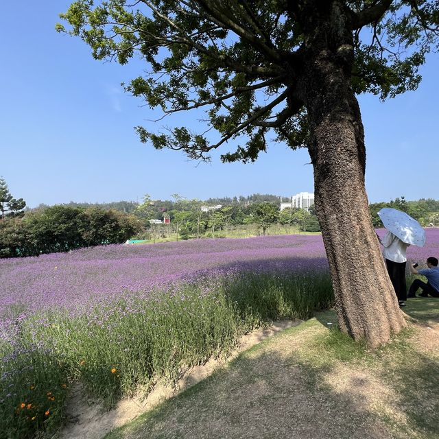 廈門植物園
