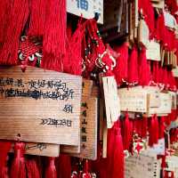 Tranquil Baoguo Village Gateway to Mt.Emei