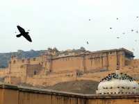 India Jaipur Amber Fort | Shocking!!!