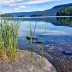 JoelRantala