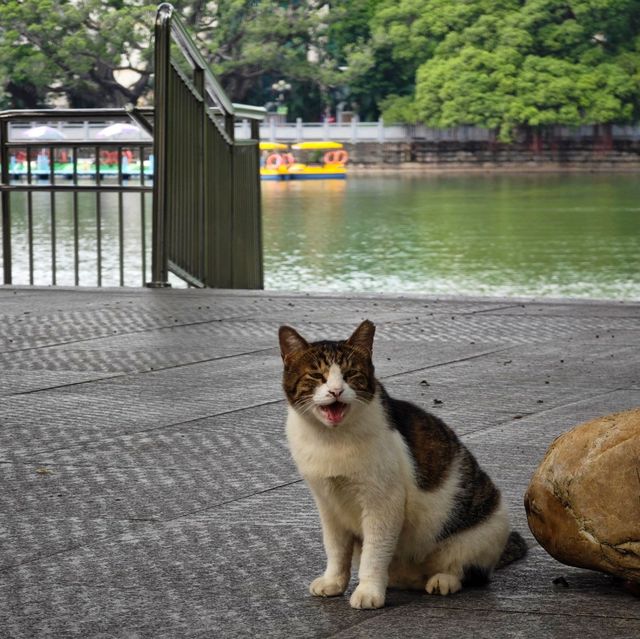 放假去邊玩❓短途遊玩好推薦🏞️『廣州•東山湖公園』