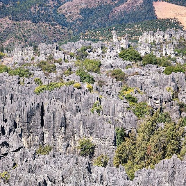 The Stone Forest | Kunming 