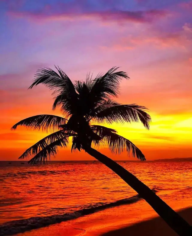 Brilliant sunset at Mui Ne beach