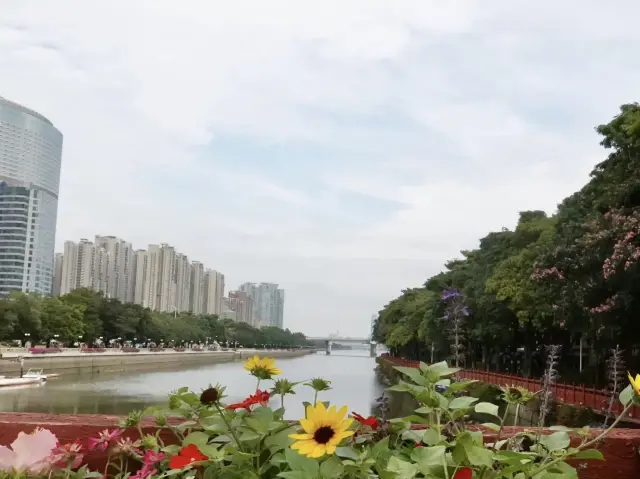 探索花的海洋！廣州海心沙亞運公園賞花拍照攻略完全指南